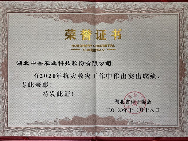 中國種子協(xié)會理事單位.jpg