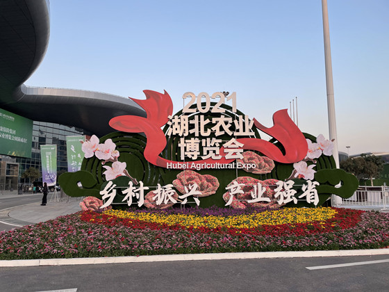 “農(nóng)”情四溢，中香農(nóng)科“種香”...